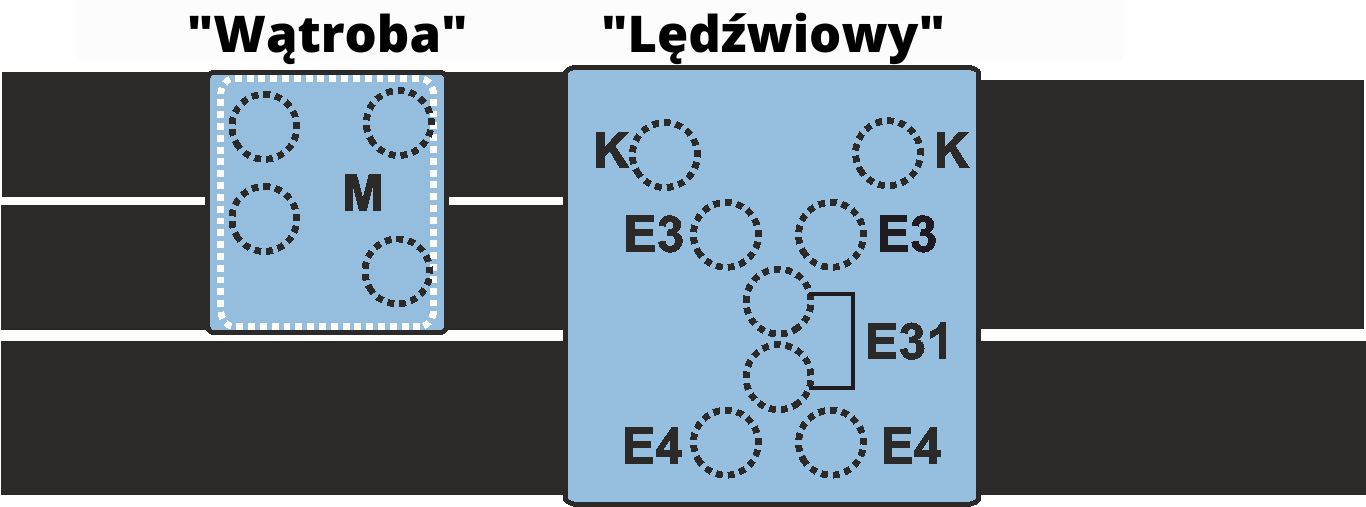 Vitafon Aktiv z modułem "Gorset" - obrazek 2